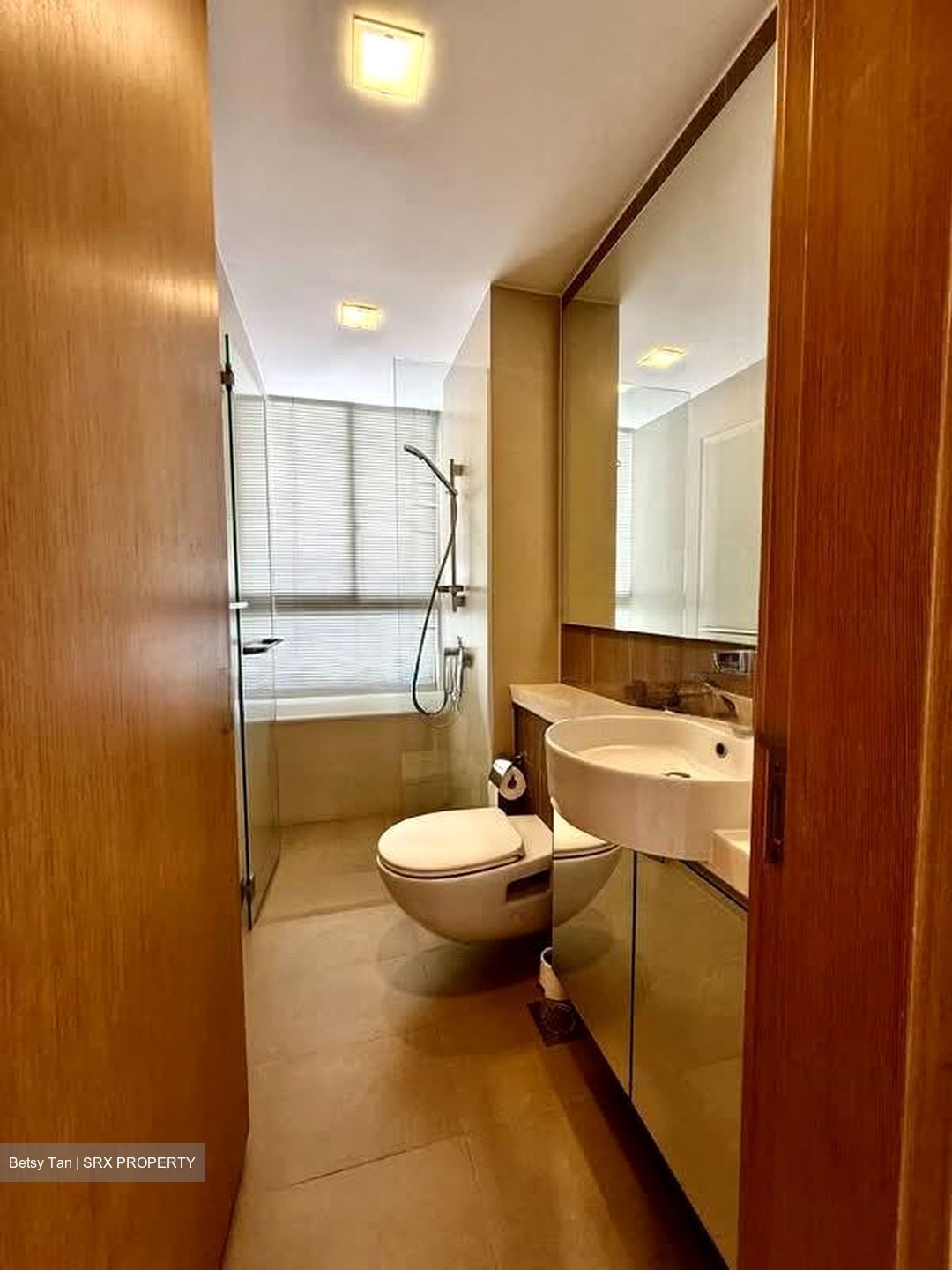 The Regency At Tiong Bahru (D3), Condominium #575934641